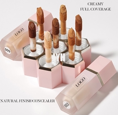 8ml OEM 피부 관리 제품 중성 로고 가려지지 않은 10 컬러 액체 스팟 파운데이션