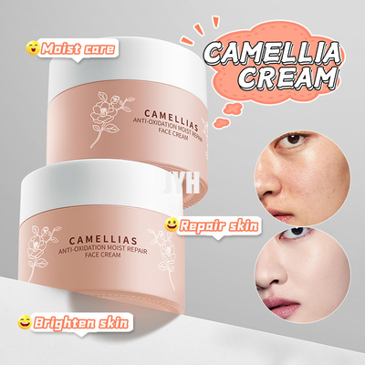 60G OEM 피부 관리 제품 카멜리아 꽃 항산화 수분화 수리 얼굴 크림